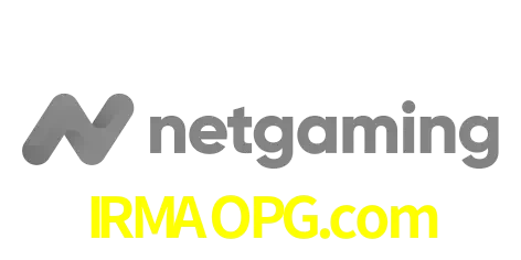 NetGaming